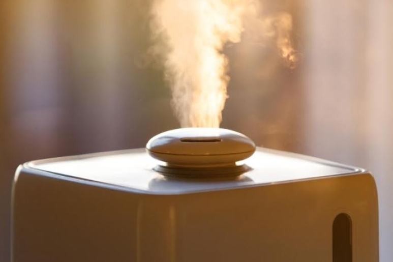 Krizantém: ha ezekre figyelsz, tele lesz virággal