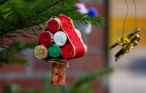 Földlabdás fenyő karácsonyfának – mikor jó ötlet, és mikor nem?