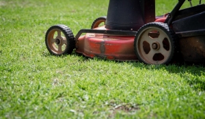 Akkus szegélynyíróval a pontos fűvágásért: tippek a profi kertápoláshoz