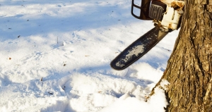 A láncfűrész alkalmazása a téli munkák során