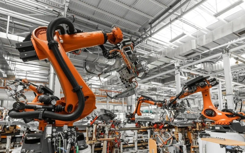 Krizantém: ha ezekre figyelsz, tele lesz virággal