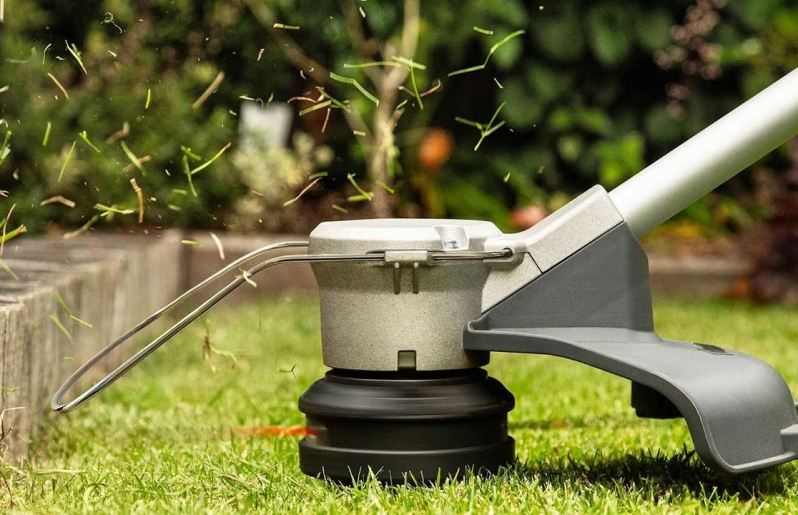 Krizantém: ha ezekre figyelsz, tele lesz virággal