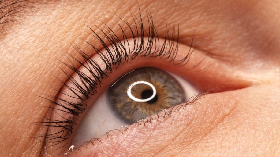 Krizantém: ha ezekre figyelsz, tele lesz virággal