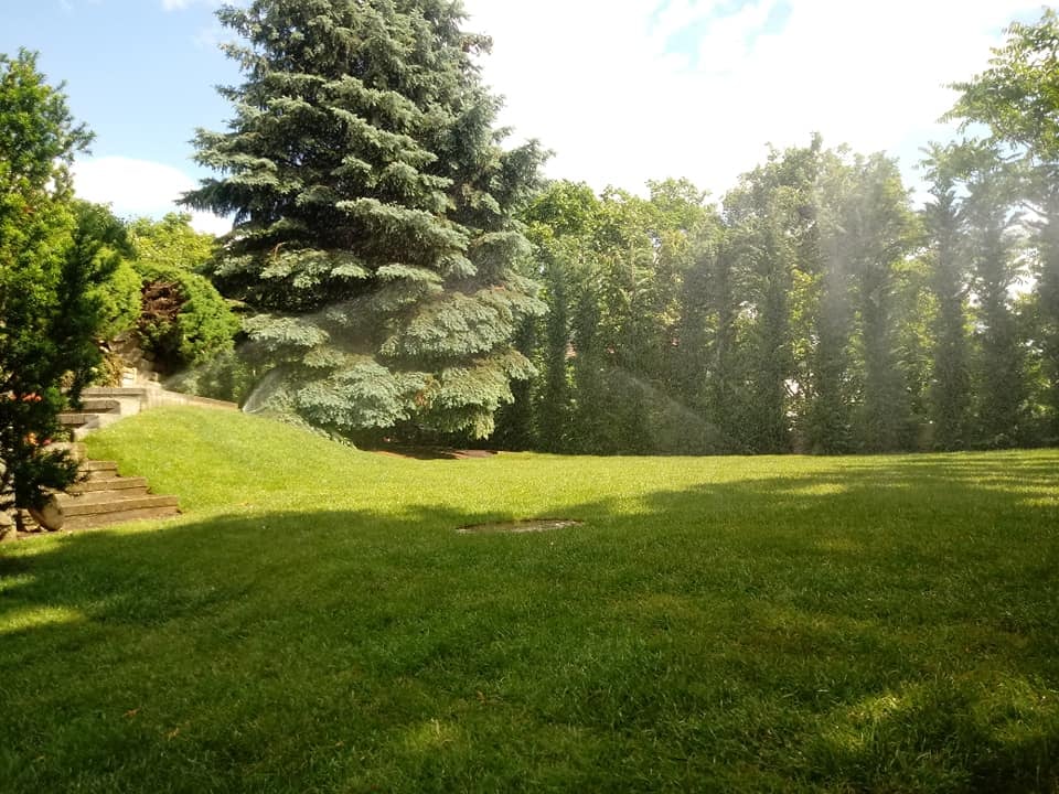 kert, kertépítés, kozma péter