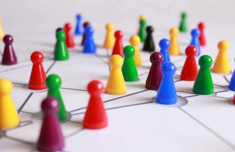 Krizantém: ha ezekre figyelsz, tele lesz virággal