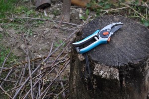 A bőséges termés titka: mikor metssz havazás után, hogy a gyümölcsfa ne károsodjon?