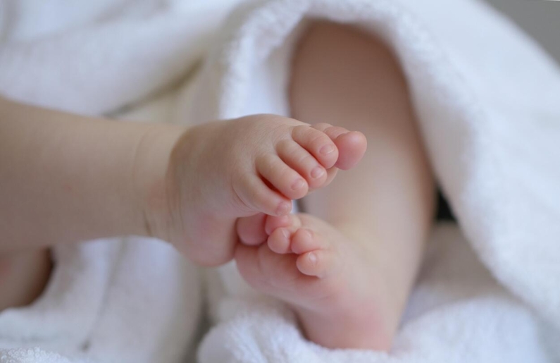 Krizantém: ha ezekre figyelsz, tele lesz virággal