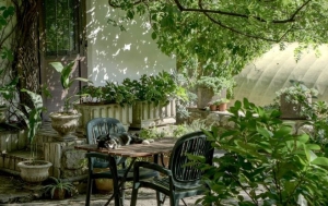 Mezítláb a jövőben – így alakul át a kert 2026-ban