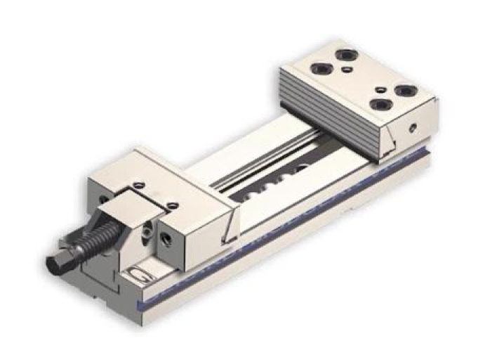 Krizantém: ha ezekre figyelsz, tele lesz virággal