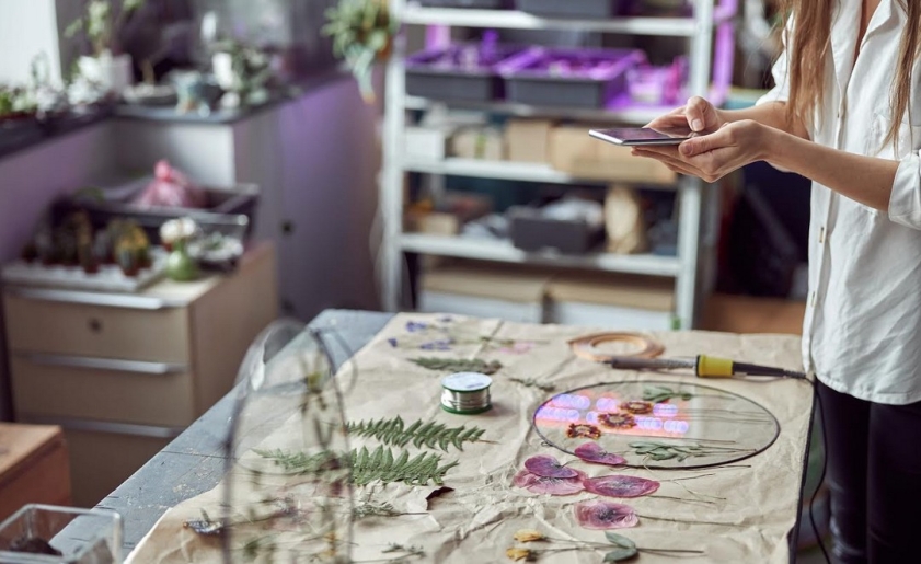 Krizantém: ha ezekre figyelsz, tele lesz virággal