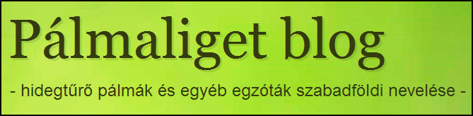Pálmaliget Blog
