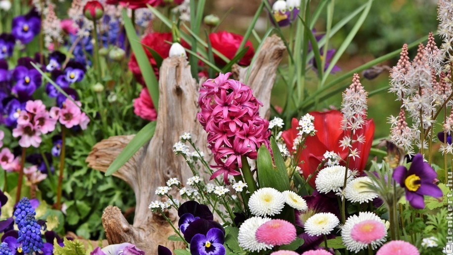 Most vettél tavasszal nyíló virághagymákat? Erről a trükkről mindenképpen tudnod kell!
