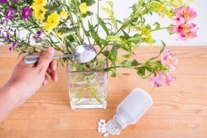 Hogyan segít a fehérítő a virágoknak?