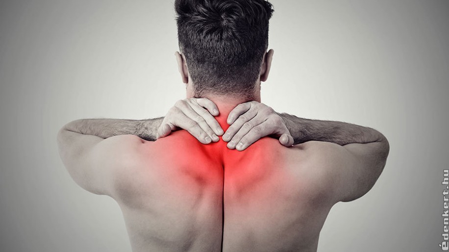 Mikor jelentkezik a nyak fájdalom leggyakrabban?