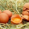 Nagyító alatt a tojás - hol és meddig tárolható?