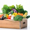 FruitVeB: 5-10 százalékkal több lehet az idei zöldségtermés a tavalyinál