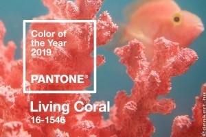 Virágkötők figyelem: 2019 év színe a pasztell korall