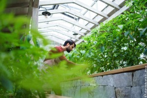 Grow shopokban a beltéri kertészet eszközei