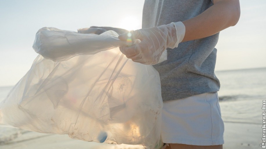 A világ műanyag krízise megoldható moszatokkal?