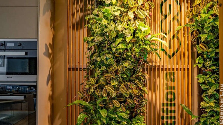 Beltéri és kültéri élő növényfal: Természetes megoldás modern terekbe, irodákba
