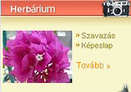 WOW... ÚJ ÉDENKERT!