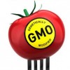 Magyarország továbbra is a GMO-mentesség mellett van