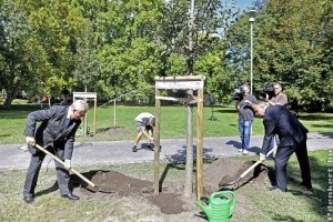 A 10 000. fát Tarlós István ültette a Margitszigeten