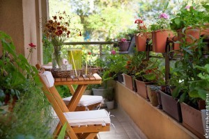 Karantén kertészkedés az erkélyen: mit ültessünk?