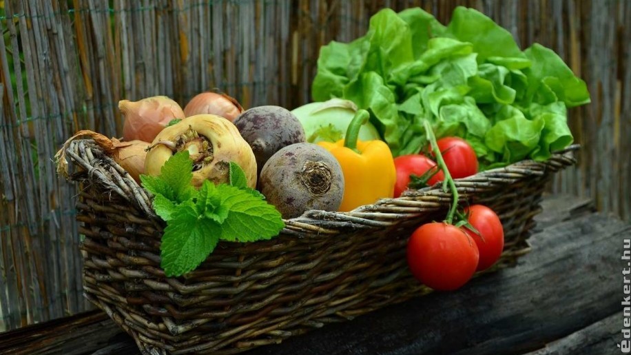 Zöldségkert a városban: Hogyan termesszünk zöldségeket kis helyen?