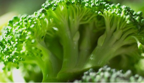 A hatékony diéta titka: a 10 legjobb zsírégető zöldség hatékony fogyáshoz: legjobb diétás zöldségek