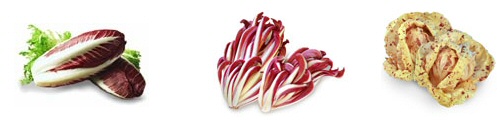 Radicchio - salátalevél Itáliából