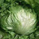 Salátaszótár: a fejes saláta egzotikus rokonai